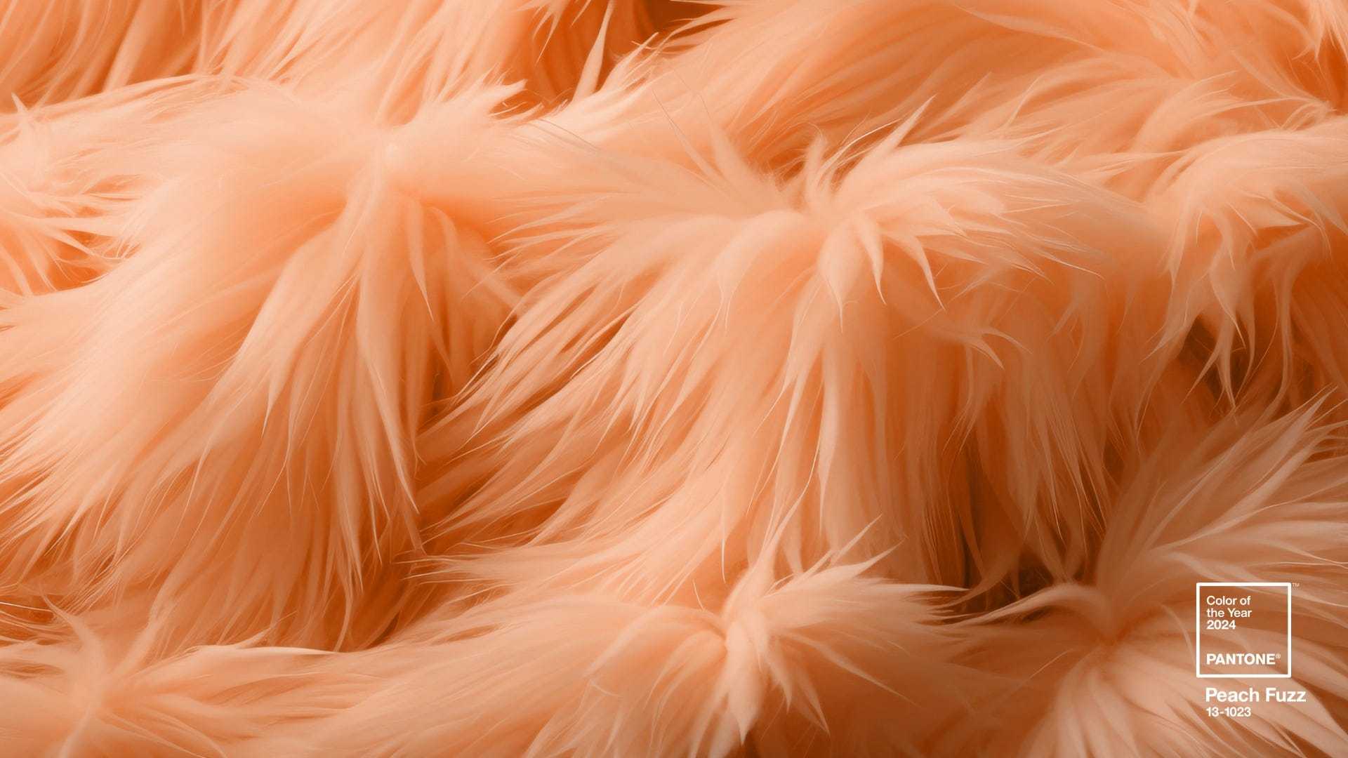 1703124248750441.jpg