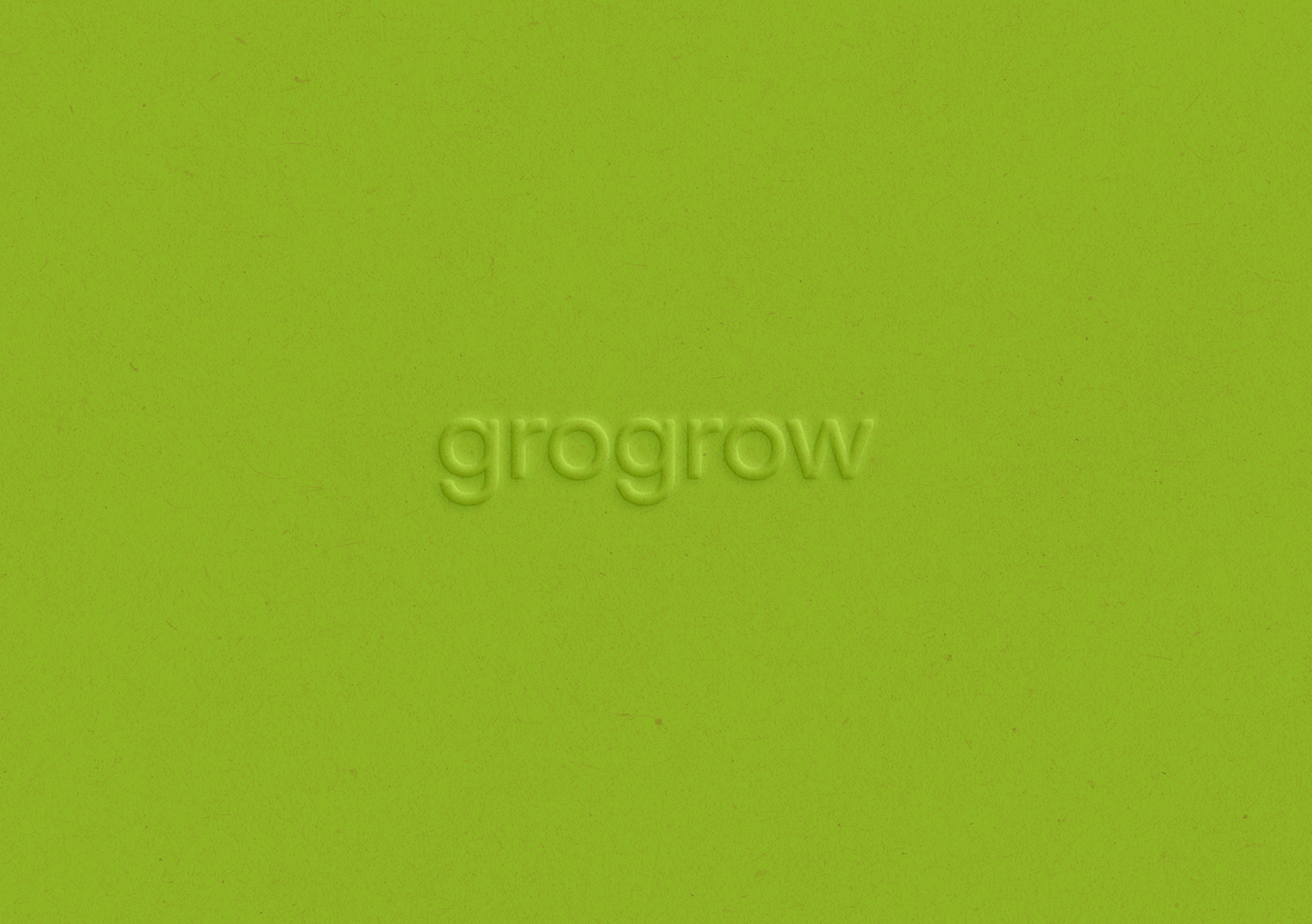 1729320301445323.jpg 3.jpg